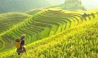 tour-du-lich-viet-nam-17-ngay
